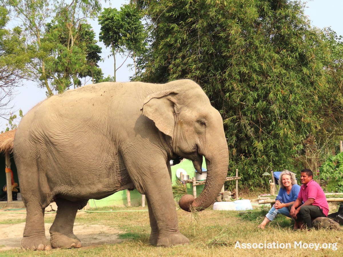 Newsletter Février 2025 – Urgence de financement pour le sanctuaire et&nbsp;Lucky
