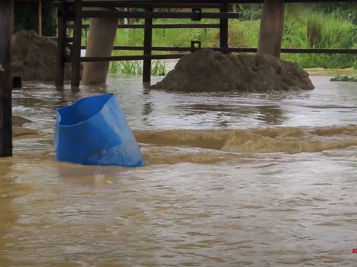 Inondations imminentes : protégeons Lucky&nbsp;!